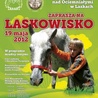 Laskowisko w Laskach