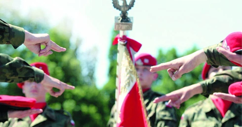 Kobyłka u dziurawego płota
