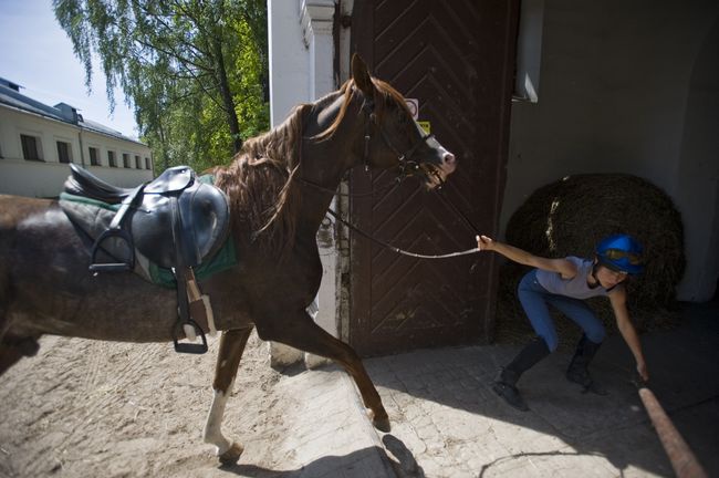 Stadnina w Janowie Podlaskim