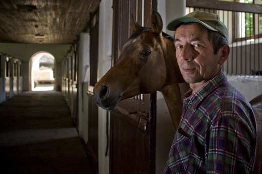 Stadnina w Janowie Podlaskim