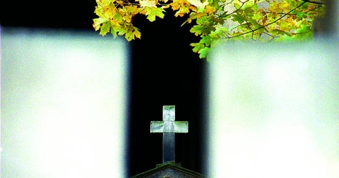 Naczynia połączone
