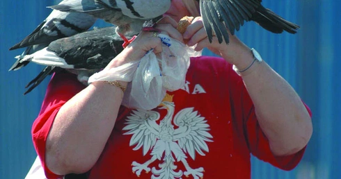 Chora kaczka dziennikarska
