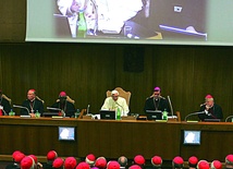 Synod biskupów