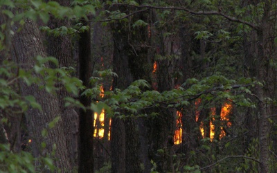 Sybria: Płoną lasy, strażacy giną