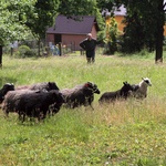 Opactwo benedyktynów w Biskupowie