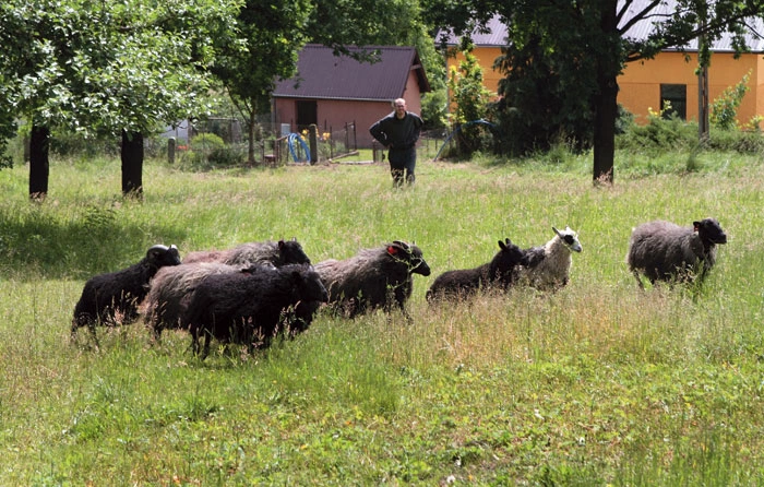 Opactwo benedyktynów w Biskupowie
