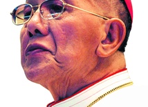 Rewolucjonista bez karabinu