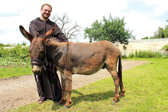 Brodacze św. Franciszka