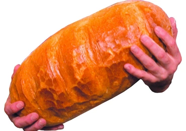 W głowie się nie mieści