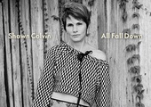 Skarby Shawn Colvin