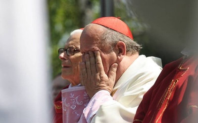 Policzkowanie kardynała