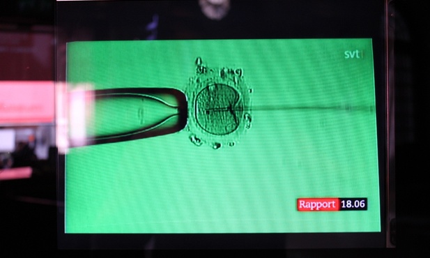 Kolejny błąd w klinice in vitro