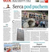 Krakowski 28/2012