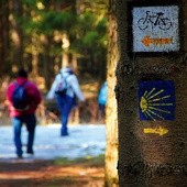  Od pięciu lat Via Regia – podobnie jak Camino de Santiago – należy do grupy kulturowych szlaków Starego Kontynentu