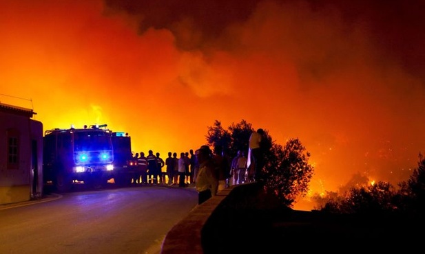 Płoną lasy w Portugalii