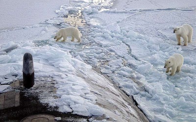 Naturalne środowisko Arktyki zagrożone