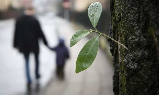 Sędziowie, nie dyskryminujcie ojców!