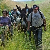 Bezdomni idą do Mamy