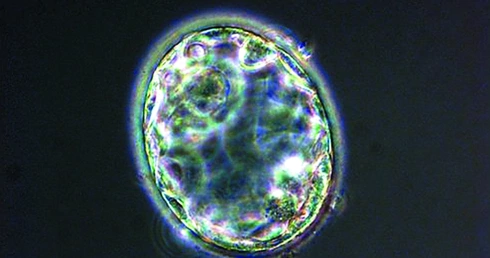 Nie mamy prawa manipulować!