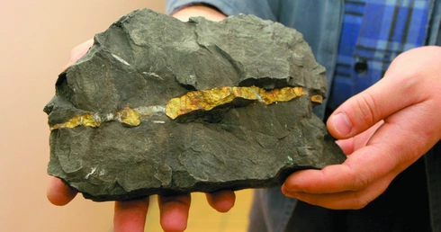 Ruda, która nie jest ruda