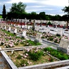 Trudno się doliczyć, ile zakonnic spoczywa na tym cmentarzu