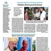 Radomski 31/2012