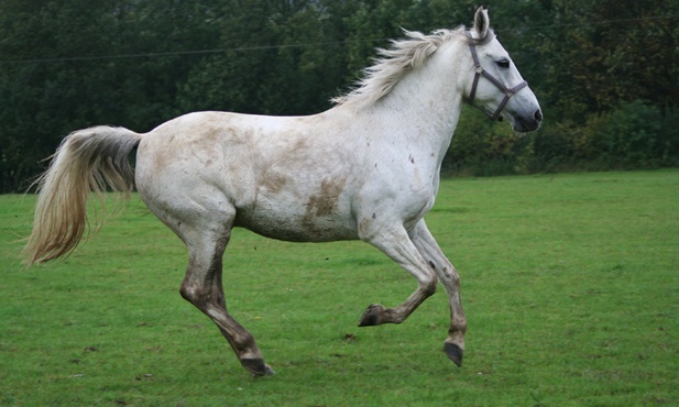 Najpiękniejsze
