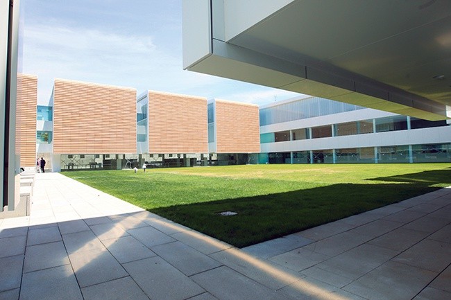 – Centralny dziedziniec ma być w nowym budynku miejscem spotkań jak wirydarz w klasztorze – mówi abp Martínez