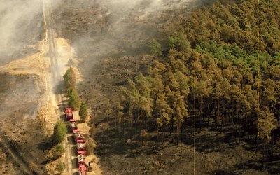Sierpień 1992 r., widok na ogarnięty ogniem las