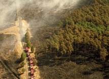 Sierpień 1992 r., widok na ogarnięty ogniem las