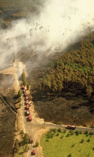 Sierpień 1992 r., widok na ogarnięty ogniem las