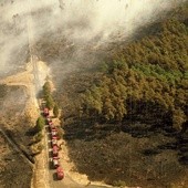 Sierpień 1992 r., widok na ogarnięty ogniem las