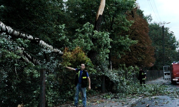 Sprzątanie po burzy w Skierniewicach