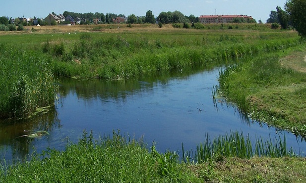 Zmieniony porządek