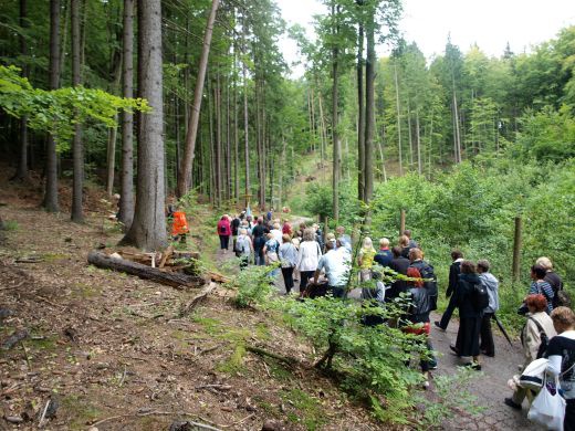 Pielgrzymka do Matemblewa w intencji trzeźwości