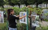 Uliczna wystawa fotografii autorstwa młodzieży z Wrzeszcza