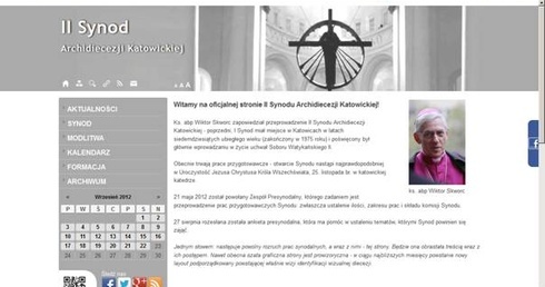 Synod w sieci