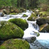 Tatry