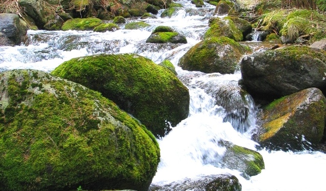 Tatry: Pierwsze oznaki wiosny