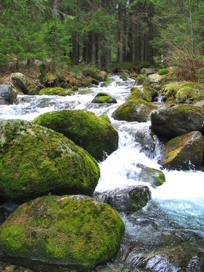 Tatry