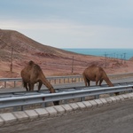 Turkmenistan - kraj, ludzie i rodzący się Kościół