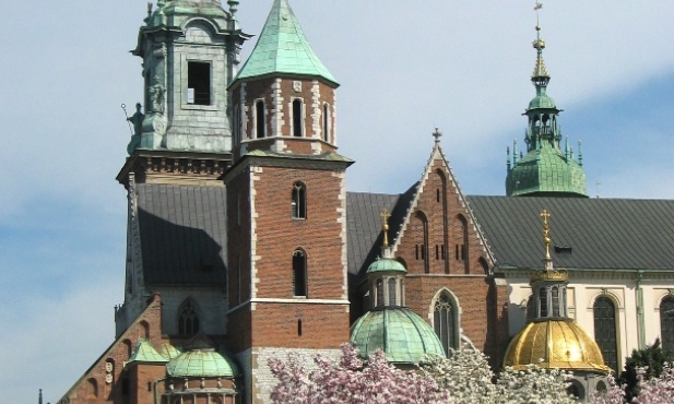 Katedra wawelska