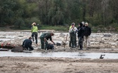 Wyciągają skarby z Wisły