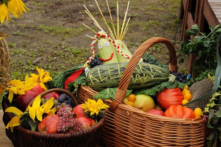 Gminne Święto Plonów – Dożynki Gminy Purda 2012 r. 