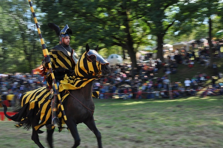 XVII Międzynarodowy Turniej Rycerski w Dębnie