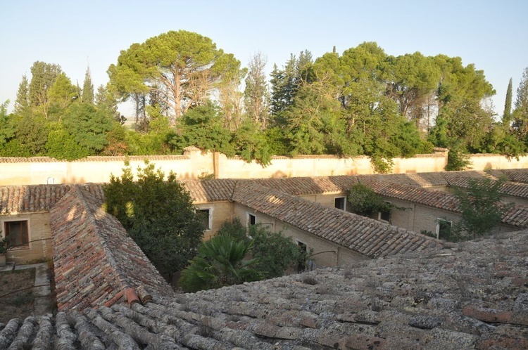 Kartuzja Aula Dei