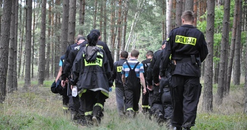 Las w okolicach Chocianowa