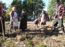 Przy kopaniu i zbieraniu ziemniaków chętnie pomagały dzieci