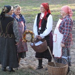 Na polu i na scenie podczas „Festiwalu ziemniaka” w Muzeum Wsi Radomskiej