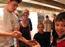 Dzieci chętnie dotykały węża zbożowego. Nie jest jadowity